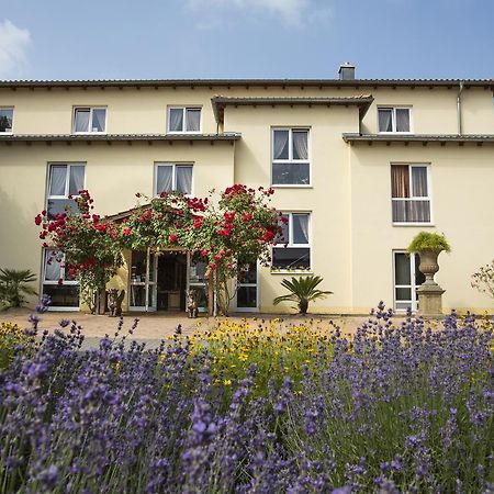 Mediterran Hotel Juwel カールシュタイン・アム・マイン エクステリア 写真