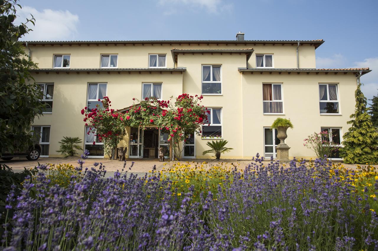 Mediterran Hotel Juwel カールシュタイン・アム・マイン エクステリア 写真